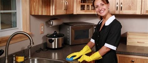 Pittsburgh pa cleaning services. Things To Know About Pittsburgh pa cleaning services. 